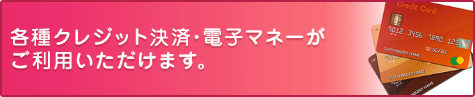 各種クレジット決済・電子マネーがご利用いただけます。